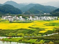 最经典的《浮生梦》经典的句子