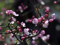 关于生死的优美句子