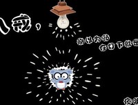小 寒鸦 经典语录