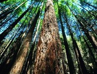 那山对她道考经典名句