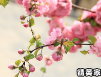 关于不忘的本心的优美句子