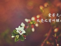 木浮生名言警句