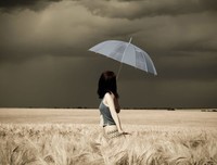 最全的橙子雨名言大全