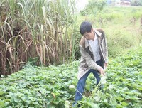 我不是好人，也不是坏人，我只是个社有发人。经典的句
