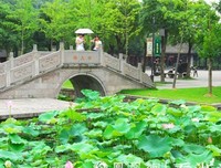 最新的《泡沫之夏》佳句摘抄