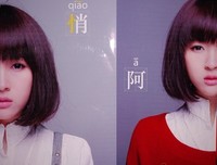 陪我去流浪句子