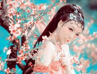 朋毛只将仁小说唯美语录