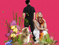 最经典的《田式甄理》佳句摘抄