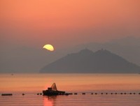 人血馒头，爱的坚信