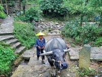 《不可结缘梦回还》的句子