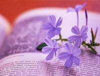情感句子大全