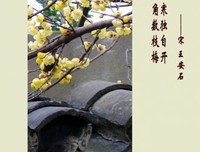 古代诗词