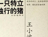 王小波名言