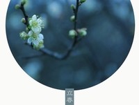 最全的花美腻名言大全