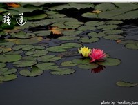 梦醒的时分