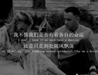 最经典的《阿甘正传》语录摘抄大全
