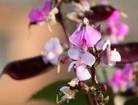 自信 自知优美的句子