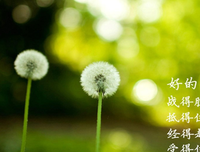 jusf周存的名句
