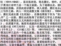 最经典的《我亦飘零久》美文摘抄大全