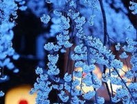 感性句子
