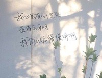 《德卡先生的信箱》经典句子大全