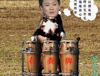 最全的《袁腾飞经典语录》经典的句子