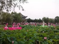 最新的《你一年的8760小时》名句欣赏