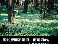 手写短句的句子