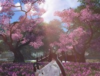 韶华流年句子大全