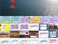 最新的《无念——永生之花》经典的句子大全