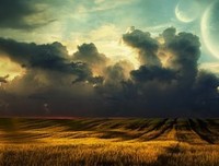 最新的《像我这样笨拙地生活》语录摘抄大全