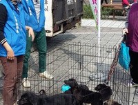 人文合一