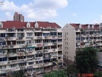蒋青杉名言