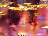 最经典的《北京遇上西雅图2不二情书》经典语句