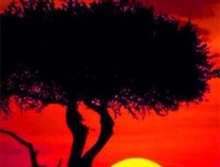 最经典的《我喜欢的人是红色的》经典名句