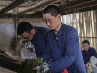 最经典的刘国健名言大全