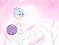 蕾