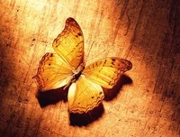 爱，你为什么存在