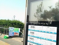有关丁当名言