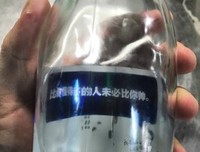 最经典的小白的名言
