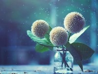 最全的《ef - a fairy tale of the two》经典句子大全