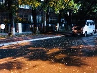 秋雨一寒