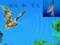 最经典的《夜航没中飞》小说句子