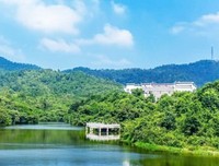 最全的《然气要生然气要之地来中到风来中到桃花》名句