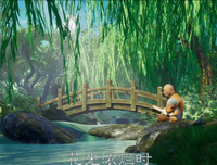 关于一禅的优美句子