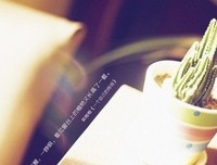 楚乔的名言