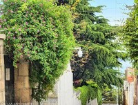 偶遇佳句经典名句