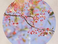 金庸作品中，最动情的14句话！