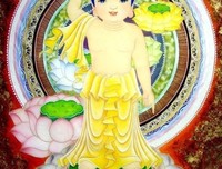 最新的《悉达多》经典名句