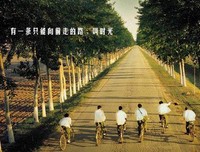 夜华君的语句摘抄_关于夜华君的语句